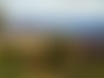 Visiting U.S. National Parks in 2026? 