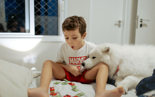 Animal Assisted Therapy