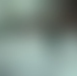 O Milagre de Wilhelmina: A Freira Incorrupta do Missouri  |  Poema
