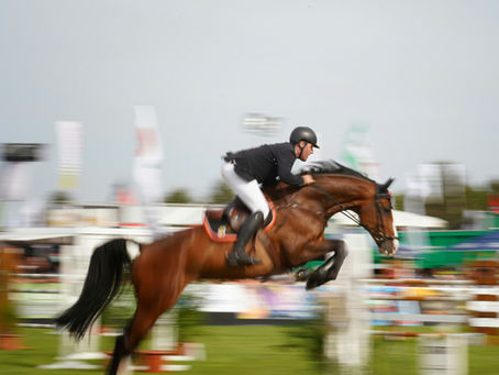 Equestrian rider jumping an obstacle on a brown horse
