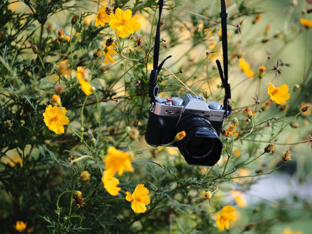 A vintage camera hanging down with yellow cosmos flowers in the background.