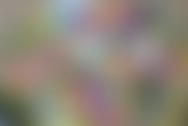 Mejora la posición de tu negocio investigando el mercado