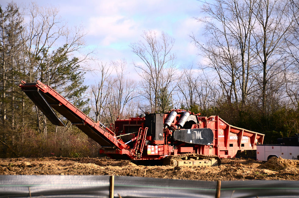 Stump grinder working on a tree stump