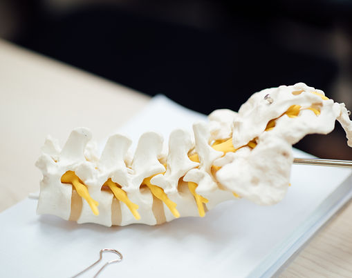 Dual Diagnosis of Traumatic Brain Injury and Spinal Cord Injury