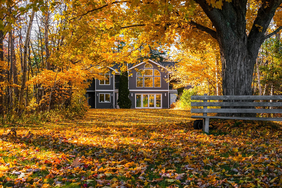 Shade trees in fall color
