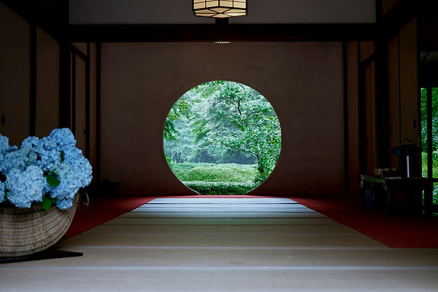 Image by Andrea Sun