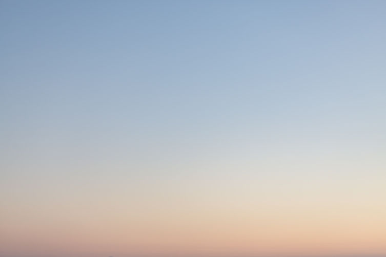 Image by César Couto