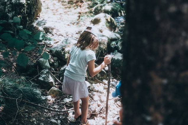 Seasonal nature curriculum.
