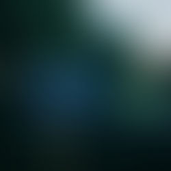 a sign by a tree reading "beat the winter blues... fill your lungs with the cool country air".