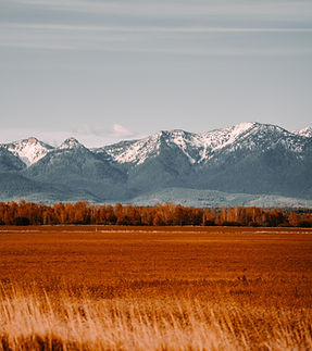 Image by Nick Gardner