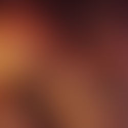 Crafting Compelling College Recommendation Letters