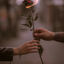 Writer: C.C
