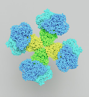 molecular breast imaging MBI