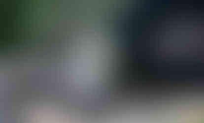 northern beaches zoo