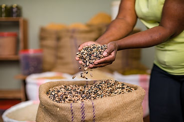 Verum-organic-grains-exporter