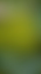 Glutationa, o antioxidante mestre e sua importância para saúde