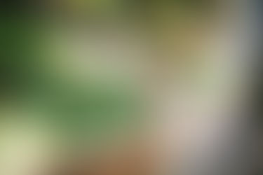 Is "Organic" Really Worth it?