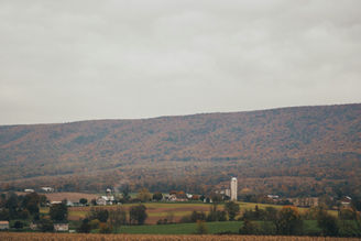 Coal Township Real Estate: Small-Town Living Surrounded by Mountains