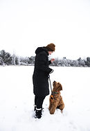 Image by Ethan Walsweer