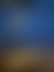 Festive Beachfront Bliss: Christmas Eve Dinner and Staycation at InterContinental Fujairah Resort