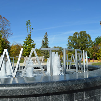 Image by Emily Wassmansdorf