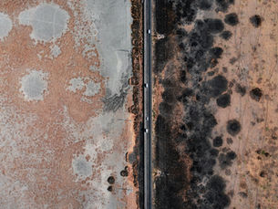 Mold Removal Hillsborough