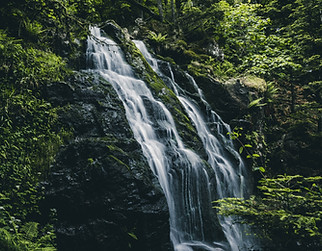 Image by Wijnand Boerma