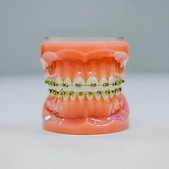 Image by Kenny Eliason