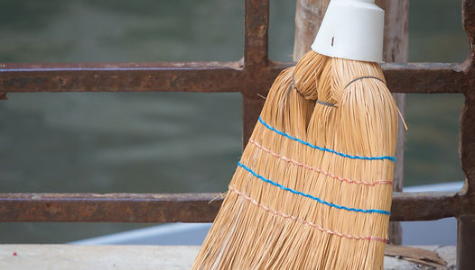 נִקָּיוֹן - Cleaning