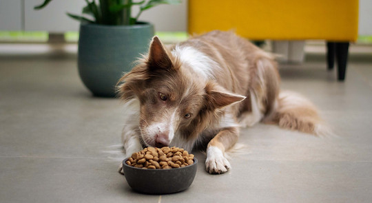 Image by Ayla Verschueren