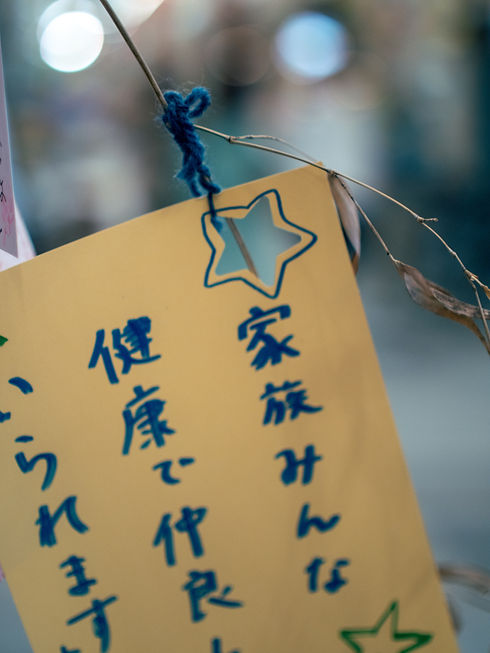 Image by YANGHONG YU