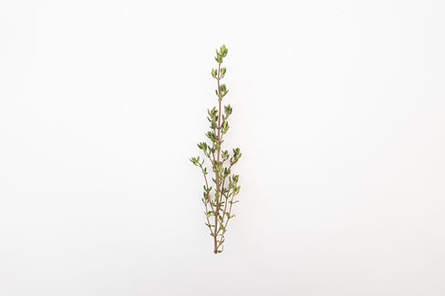 Image by Jiawen Liu