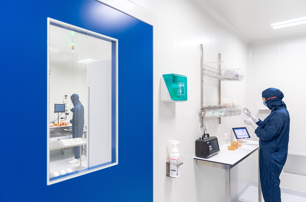 Image by Toon Lambrechts