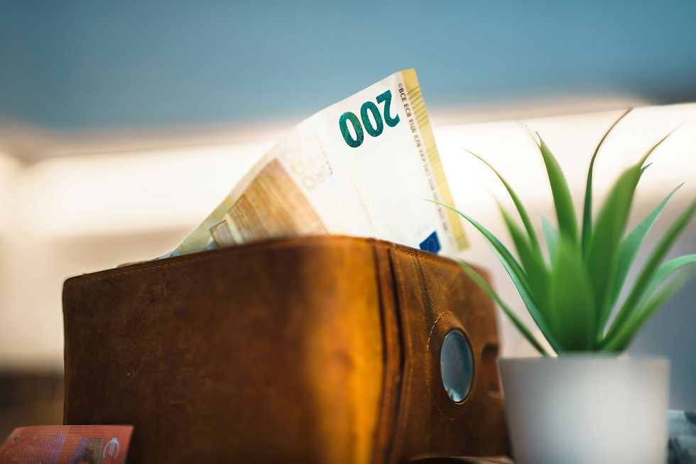200-euro note sticking out of a brown wallet beside a small potted plant on a softly lit surface