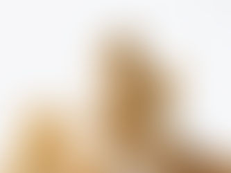 Family Term Life Insurance Benefits