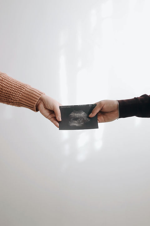 Image by Jonathan Sanchez