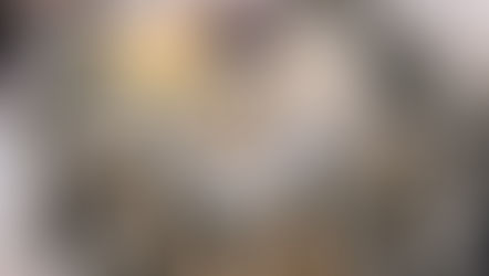 Best Seafood Spots in Charleston