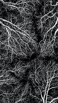 Better soil strucutre allows roots deeper into the soil