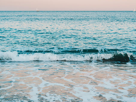 エペソ人への手紙1章23節