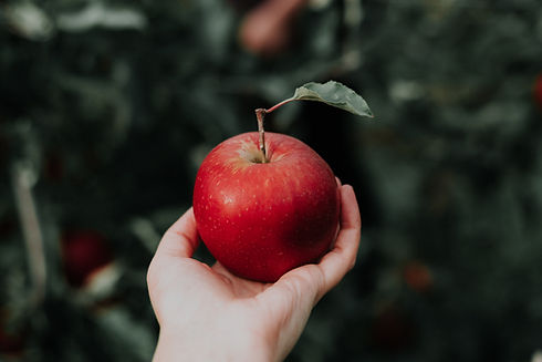Ernährungstherapie Nadia Negro