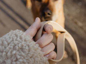 Hör auf zu strafen – fang an zu korrigieren