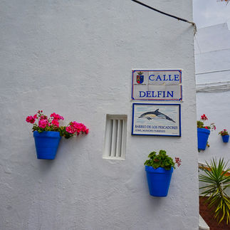 bloempotten in barrio de los pescadores in Conil