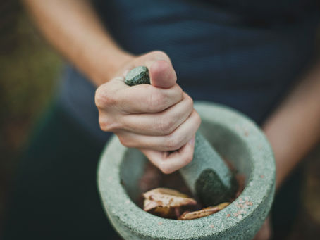 Mörser mit Pflanzen