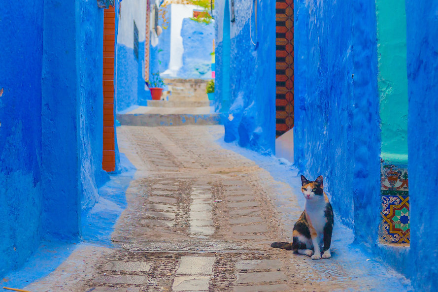 marocco