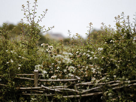 La medicina de los bordes