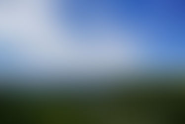 Support Flood Recovery in the Texas Hill Country