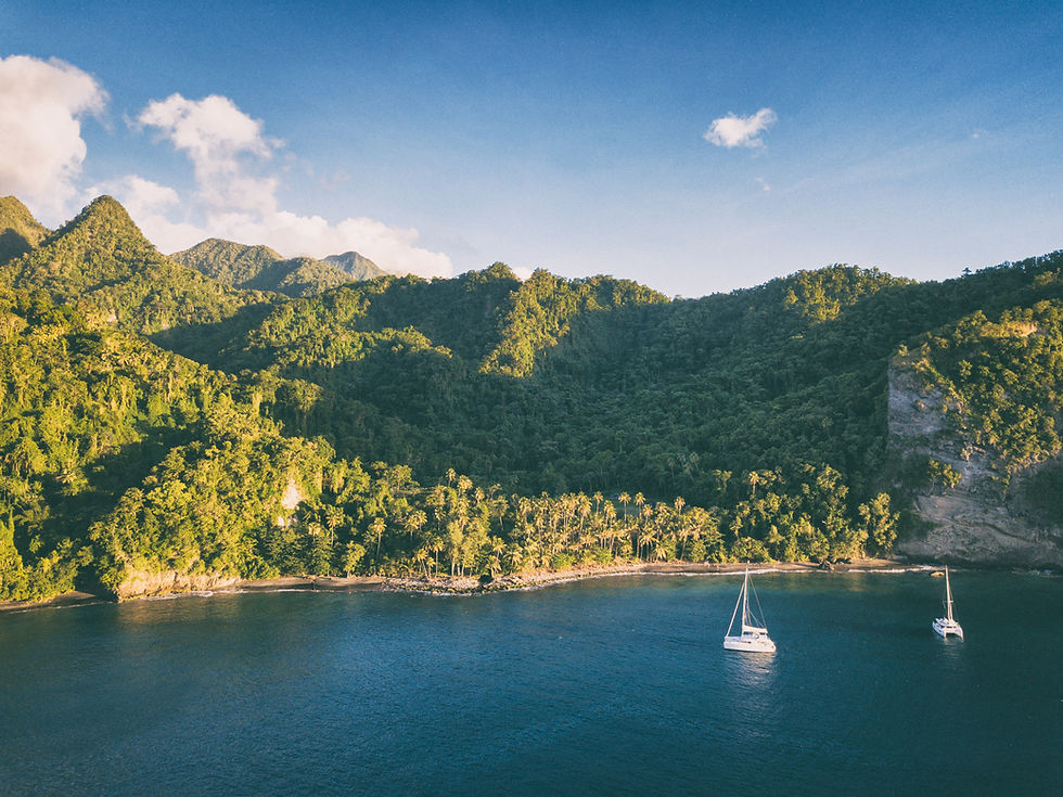 Image by Matthew Waring