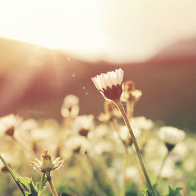 Bem vinda(o) ao MeditYoga Inspira