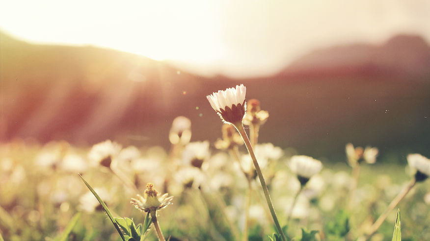 A warm, engaging space; ready to help you grow.