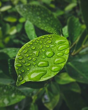 Image by Tehzeeb Kazmi